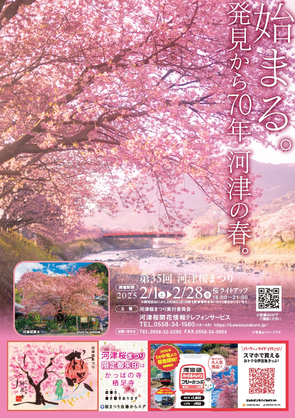 河津桜まつりチラシ表