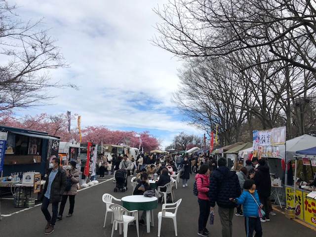 日本平梅まつり4