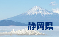 静岡県公式サイト