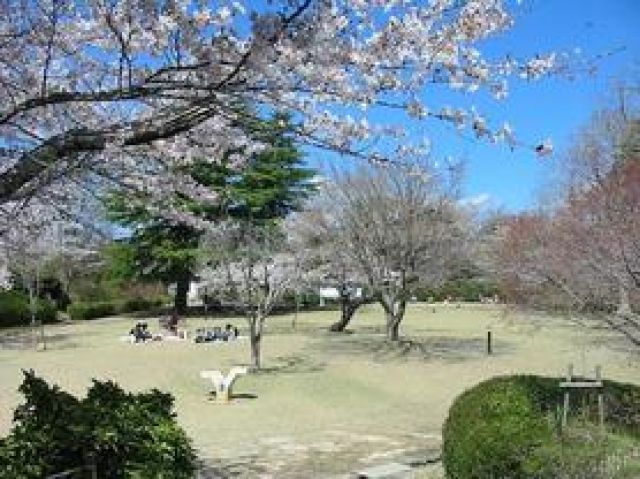 鳥羽山公園 鳥羽山城址 ハローナビしずおか 静岡県観光情報