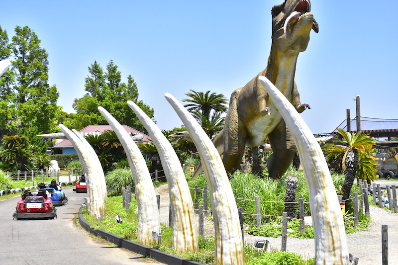 伊豆ぐらんぱる公園 ハローナビしずおか 静岡県観光情報