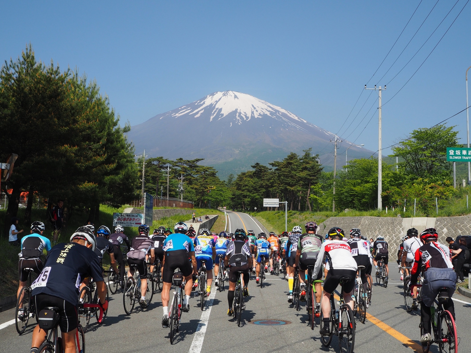 富士山麓五輪レガシーコース ハローナビしずおか 静岡県観光情報