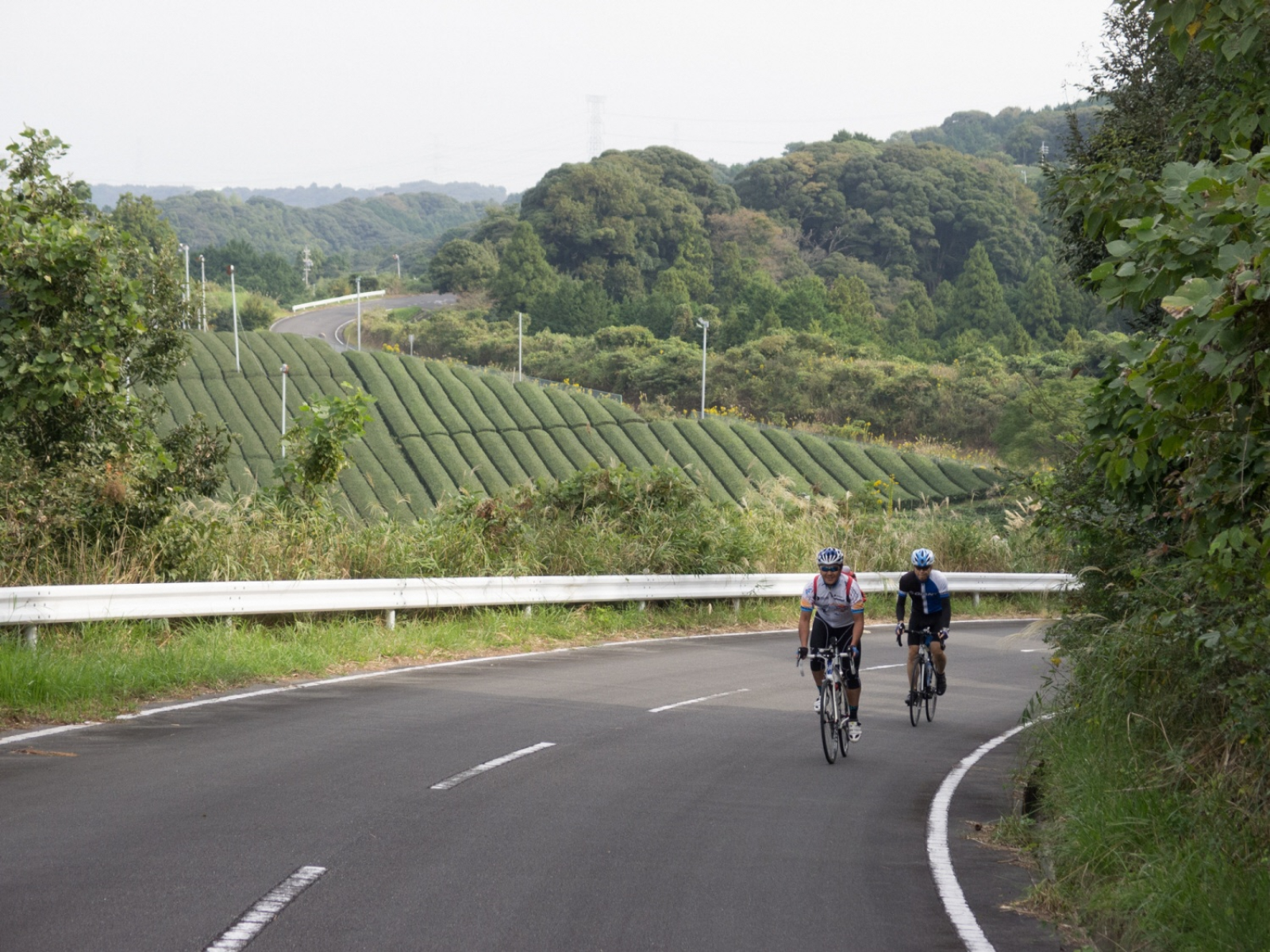 遠州塩の道を楽しむ自転車旅 掛川駅 天竜二俣駅 ハローナビしずおか 静岡県観光情報