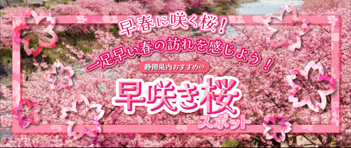 静岡県おすすめの早咲き桜のスポット