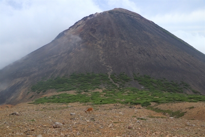 photo?id=4216&suffix=m