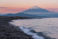 photo?id=4764&suffix=t