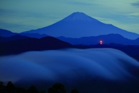 photo?id=4793&suffix=t
