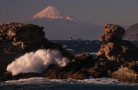 photo?id=4857&suffix=t