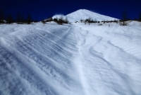 photo?id=4877&suffix=t