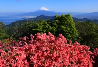 photo?id=4881&suffix=t