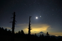 photo?id=4883&suffix=t