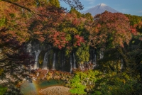 photo?id=4896&suffix=t