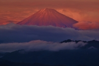 photo?id=4920&suffix=t