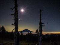 photo?id=4971&suffix=t
