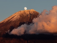 photo?id=5062&suffix=t