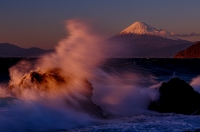 photo?id=5102&suffix=t