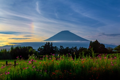 photo?id=6627&suffix=m
