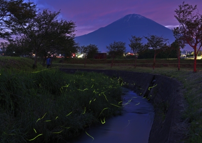 photo?id=8716&suffix=m
