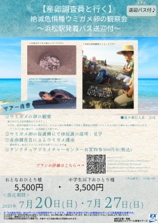 EXチラシ
