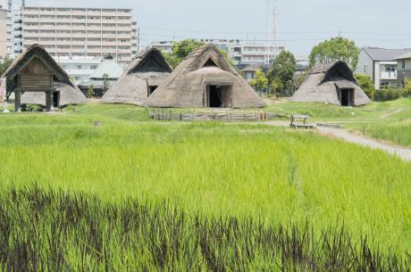 登呂遺跡博物館イベント1