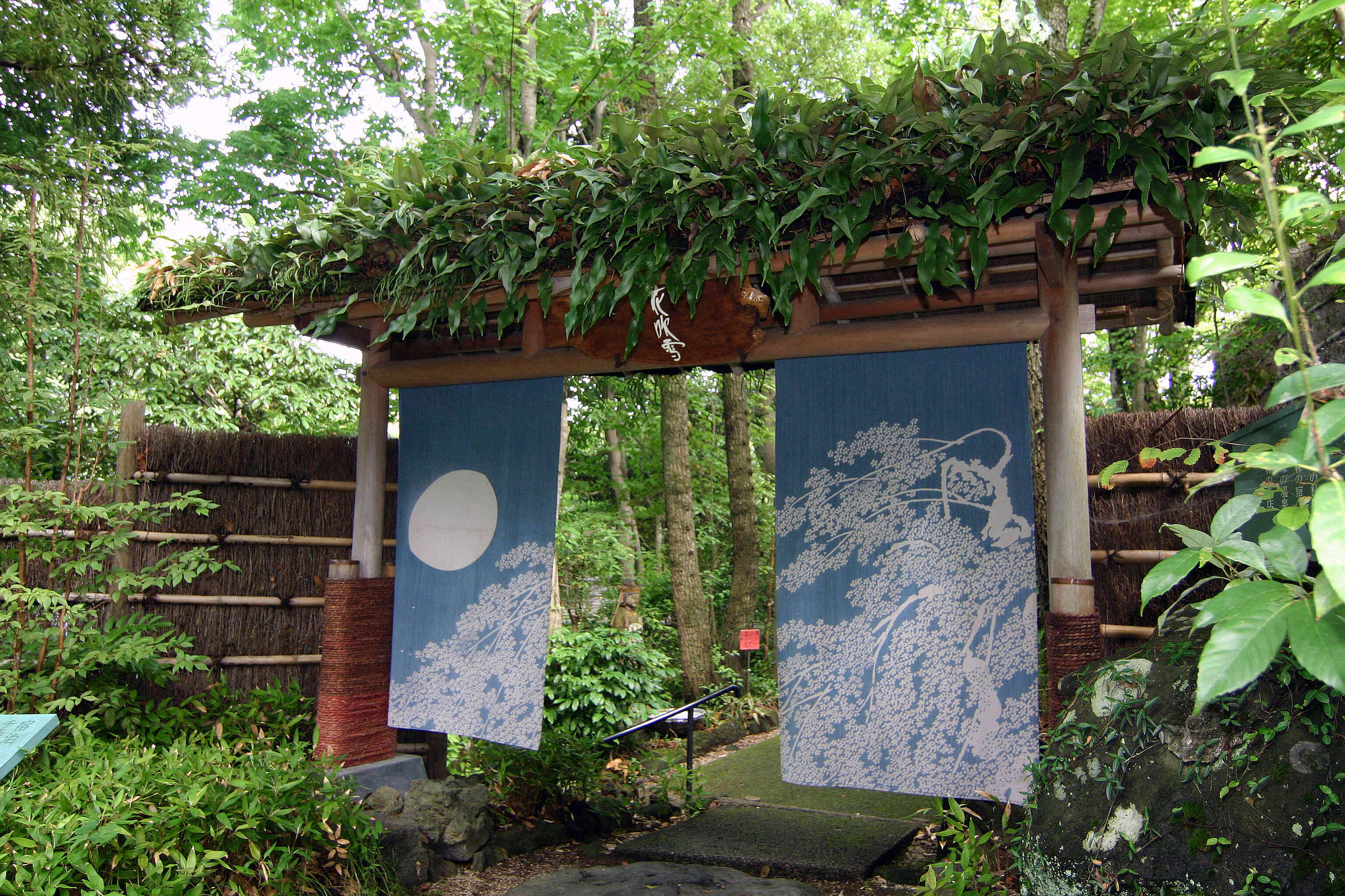 伊豆高原・城ヶ崎温泉　花吹雪