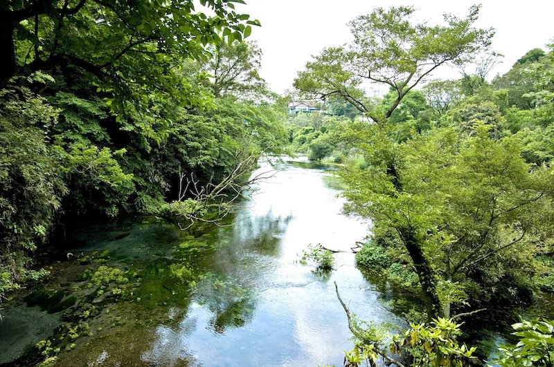 柿田川公園内を流れる柿田川