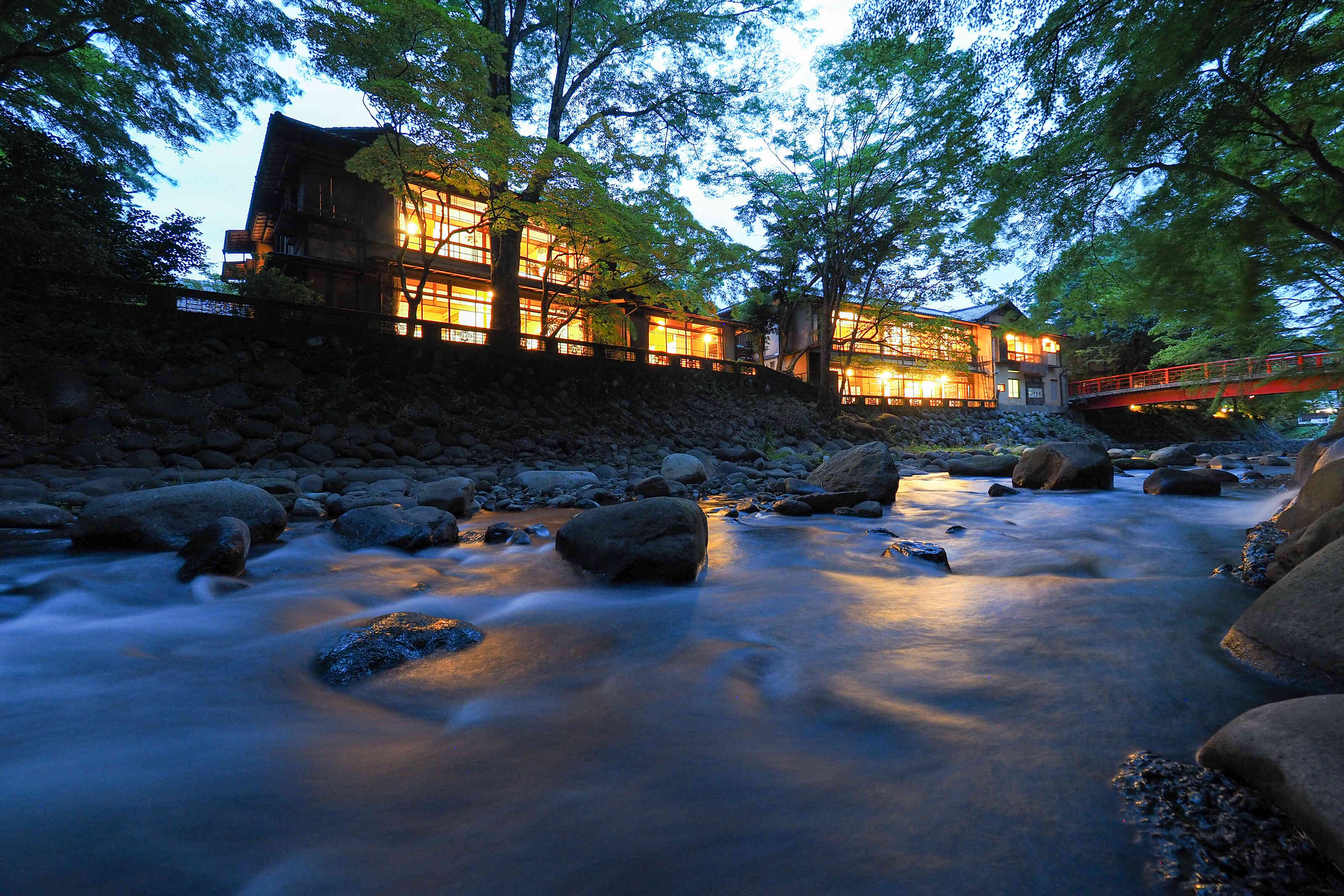 新井旅館 ハローナビしずおか 静岡県観光情報