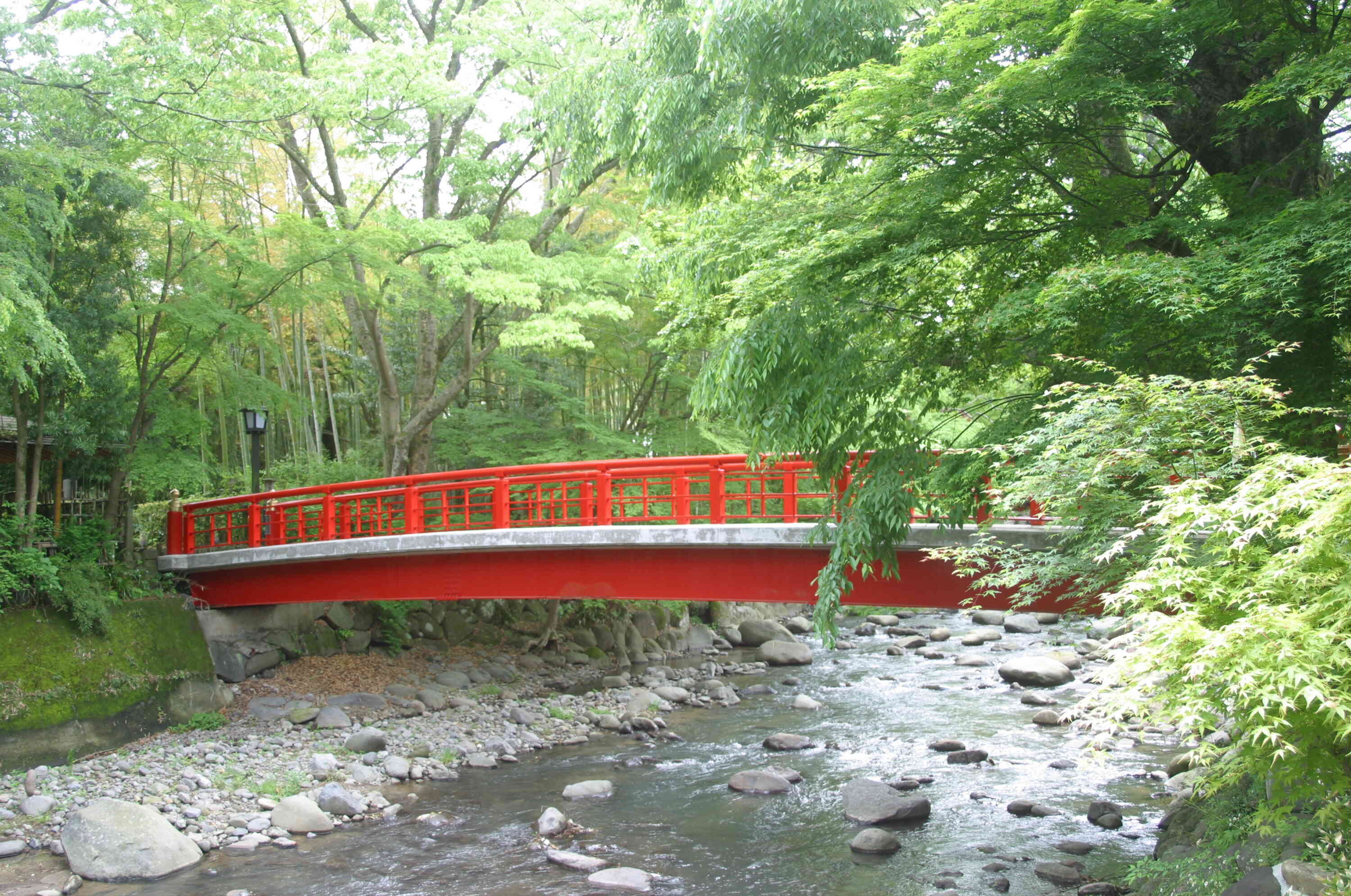緑が清々しい桂橋
