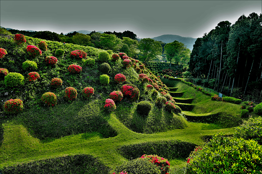 山中城の特徴は地形を生かした山城ということです。障子堀と畝堀が有名です。