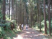 こちらの写真は、山中城跡公園のすぐわきにある「箱根旧街道石畳」です。さらに箱根方向に上っていくと、険しい山道・箱根旧街道を体験できます