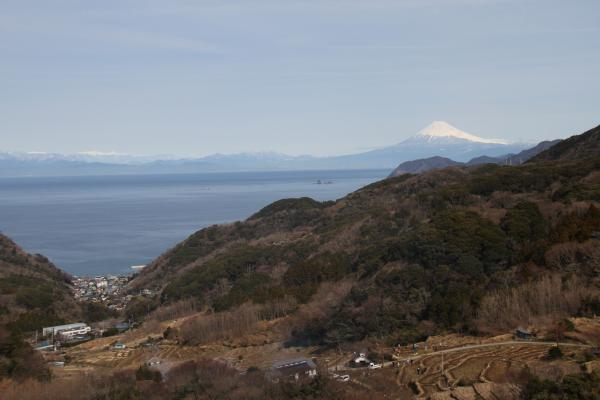 駿河湾富嶽三十六景－第三景－石部棚田