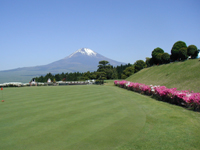 春の富士山