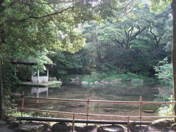 向井田川のそばにある竹ヶ沢公園は四季の移り変わりを感じられる自然公園。６月上旬から中旬にかけてゲンジボタルが飛び交う幻想的な光景に出会える。