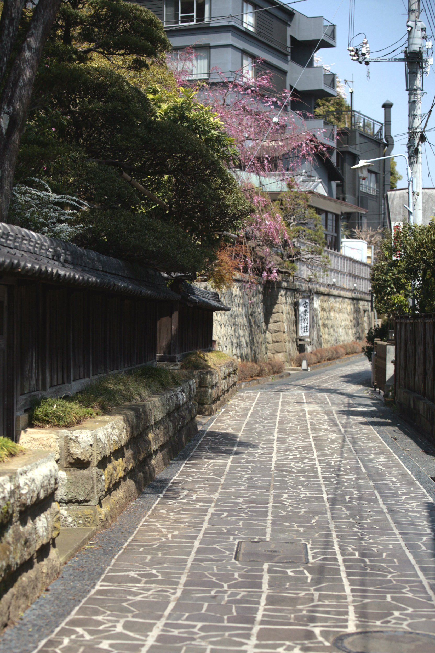 伊豆長岡温泉古奈地区のあやめ小路。落ち着いた閑静な通り