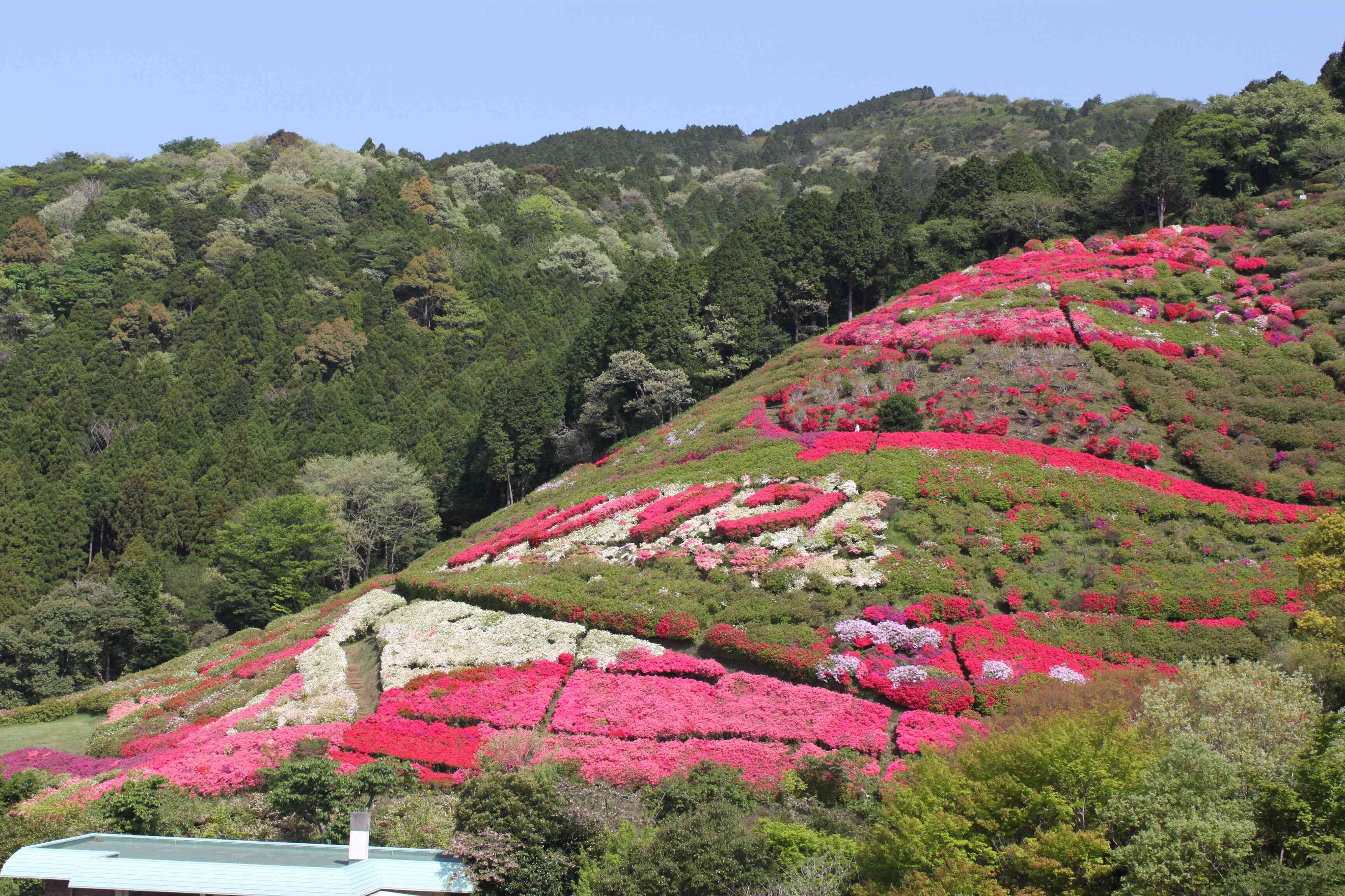 姫の沢公園