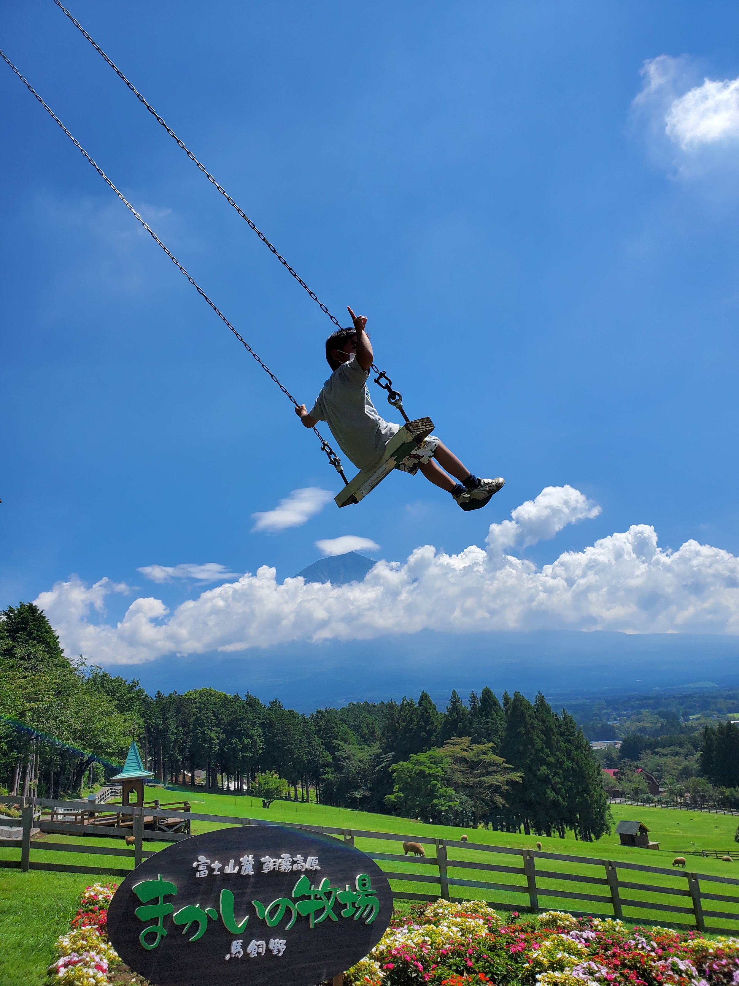 富士山麓朝霧高原 まかいの牧場／ハローナビしずおか 静岡県観光情報