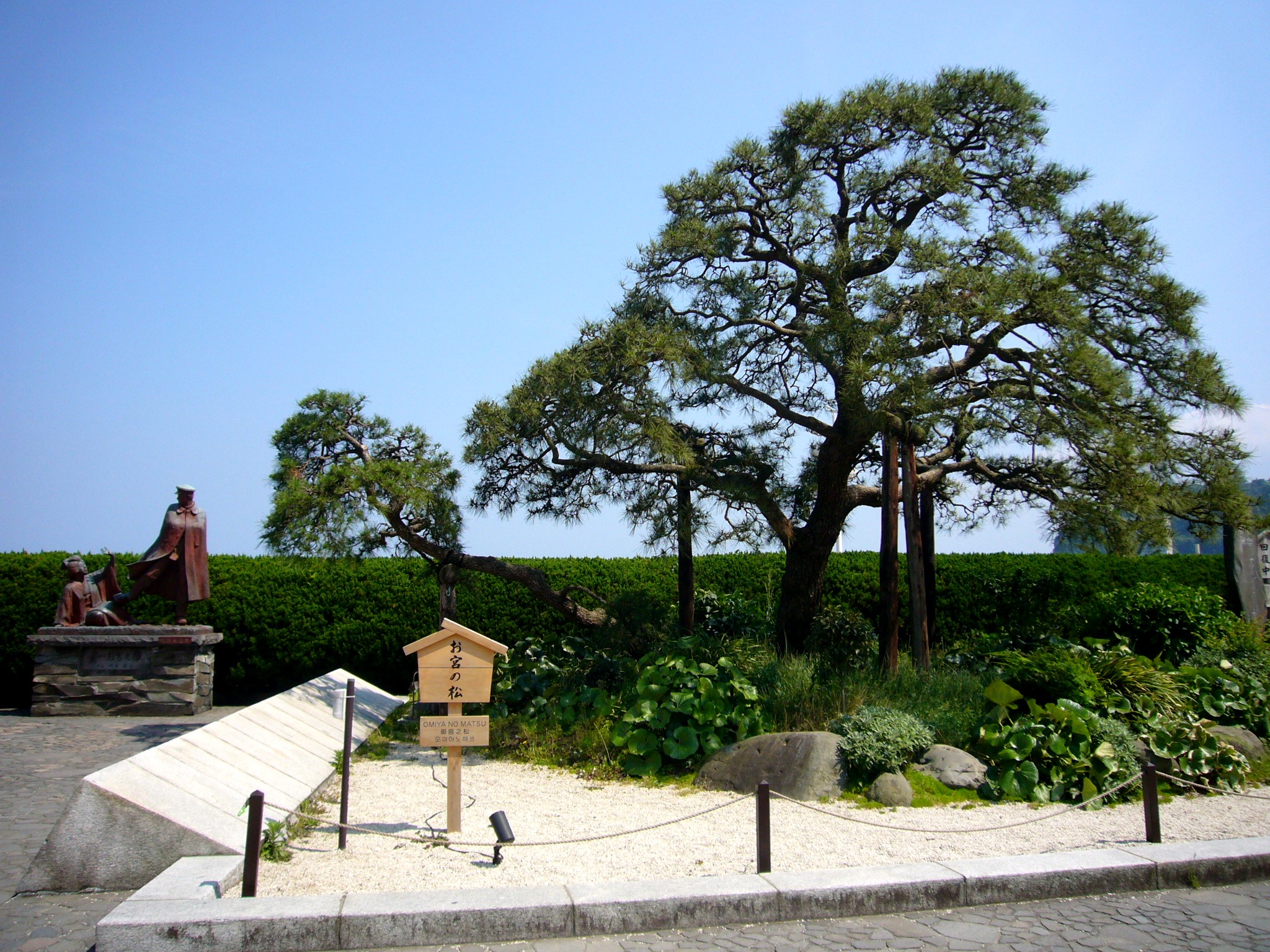 お宮の松