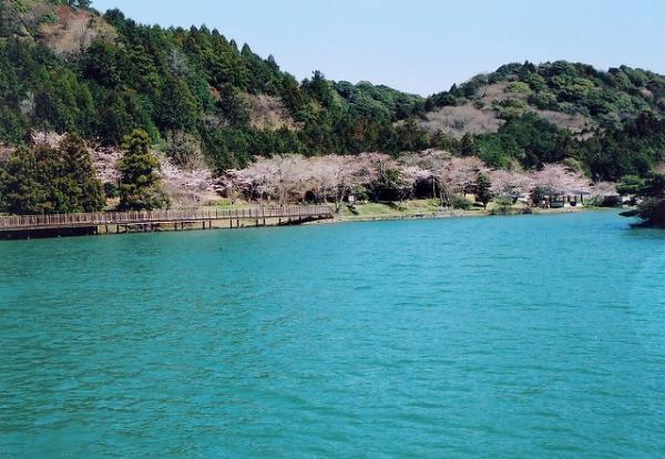 白い帆が風を受けて水面を滑っていく姿は、池の澄んだ水面、周囲の山々の緑と相まって、のどかな雰囲気を漂わせています。