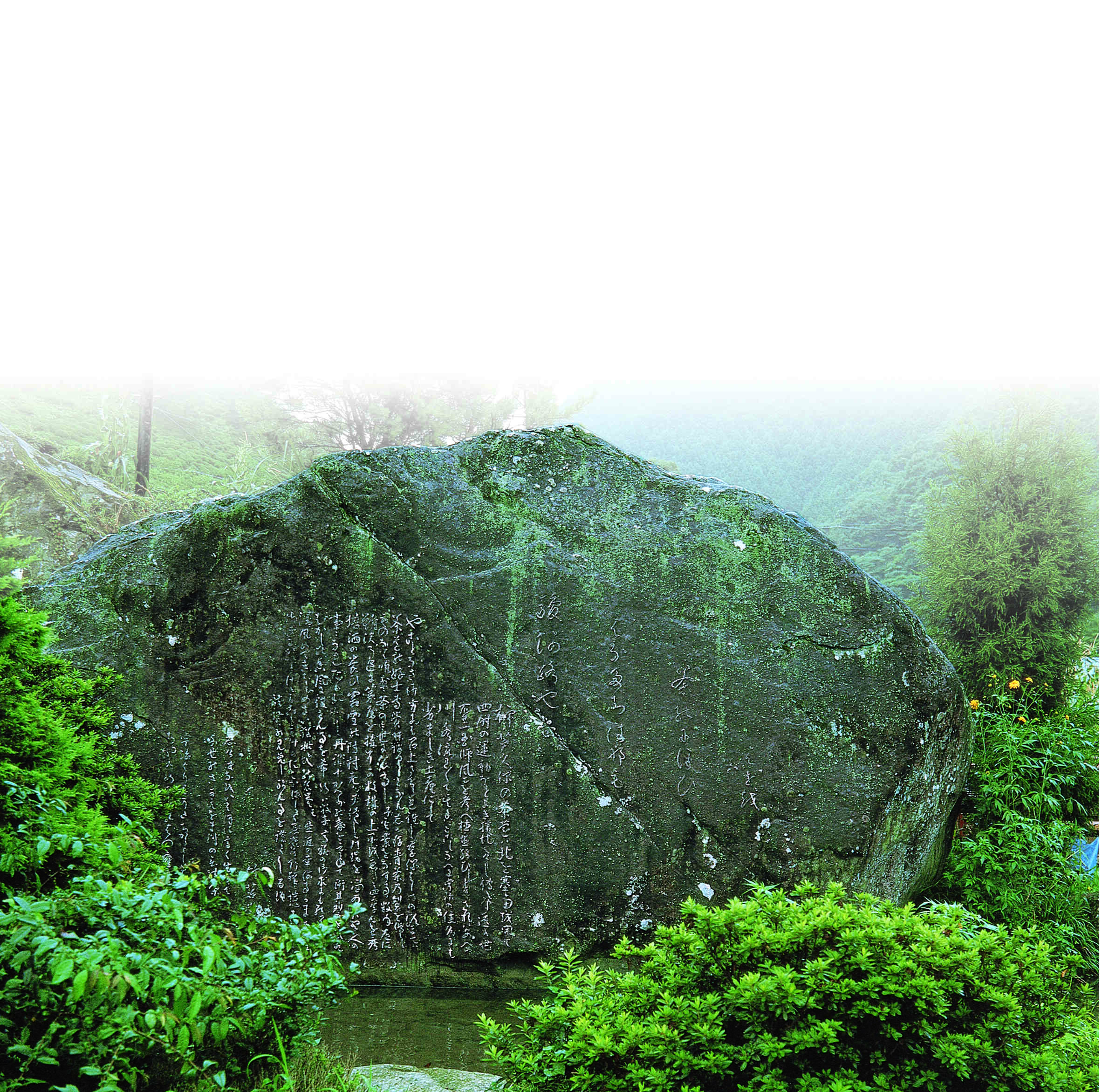 狐石は、初代竹茗が静岡市葵区足久保に茶栽培の成功を記念した石碑