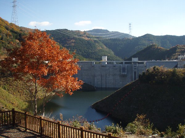 試験湛水中に「彩り岬」より撮影したダム周辺の風景。

周辺の山々の美しい紅葉が眺められました。