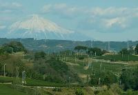 周辺から富士山が望めます