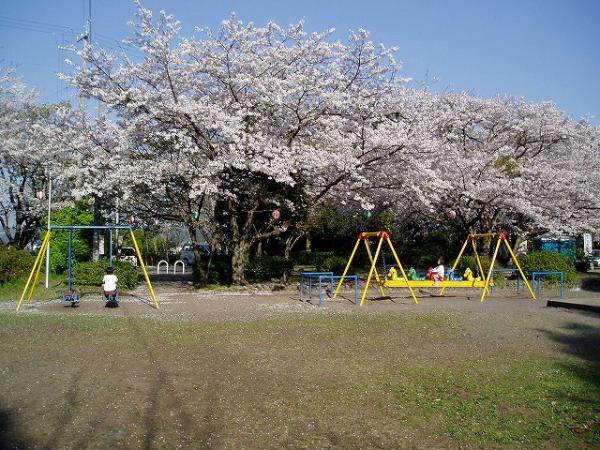 　公園の西側には、日本にお茶を伝えたといわれる栄西禅師の石碑があり、毎年4月の新茶の季節に供養祭が行われます。