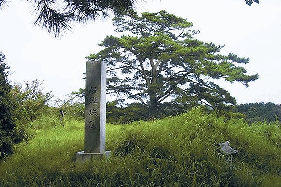 　山城の中心「東の城」からは南に遠州灘、東に牧之原台地、その後方から北にかけて赤石山脈と南アルプスを望むことができます。

　「東の城」から西に向かえば「千畳敷」、「一騎駆け」、「金玉落とし」、「横地一族の墓」など、いたるところに名残をとどめており、時を越えて“中世の世界”を感じることができます。