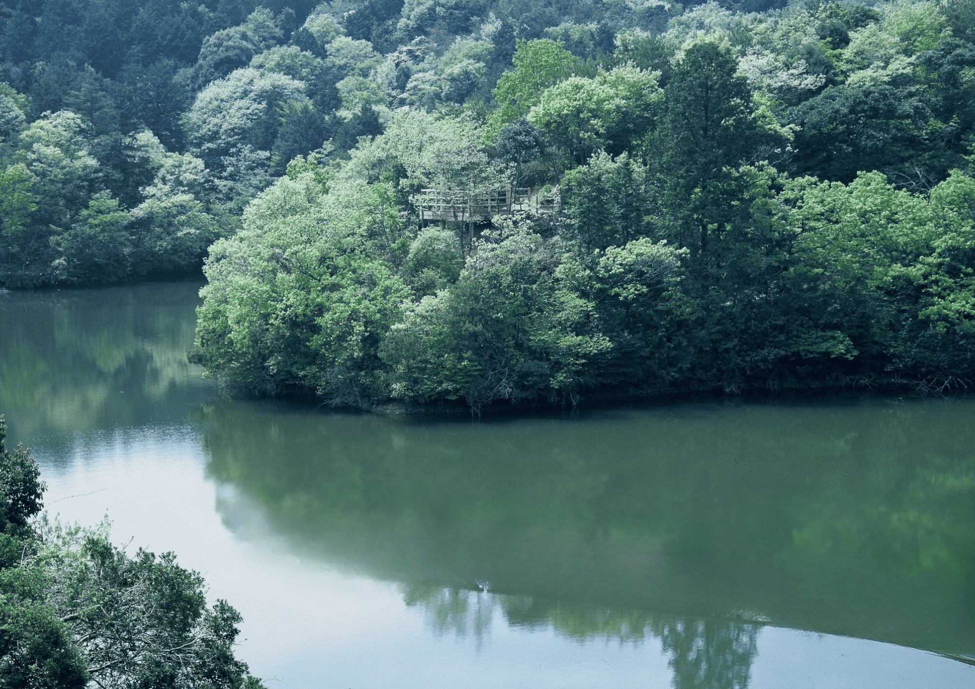 木々に囲まれた池の周りを、ウオーキングなんていかがですか？