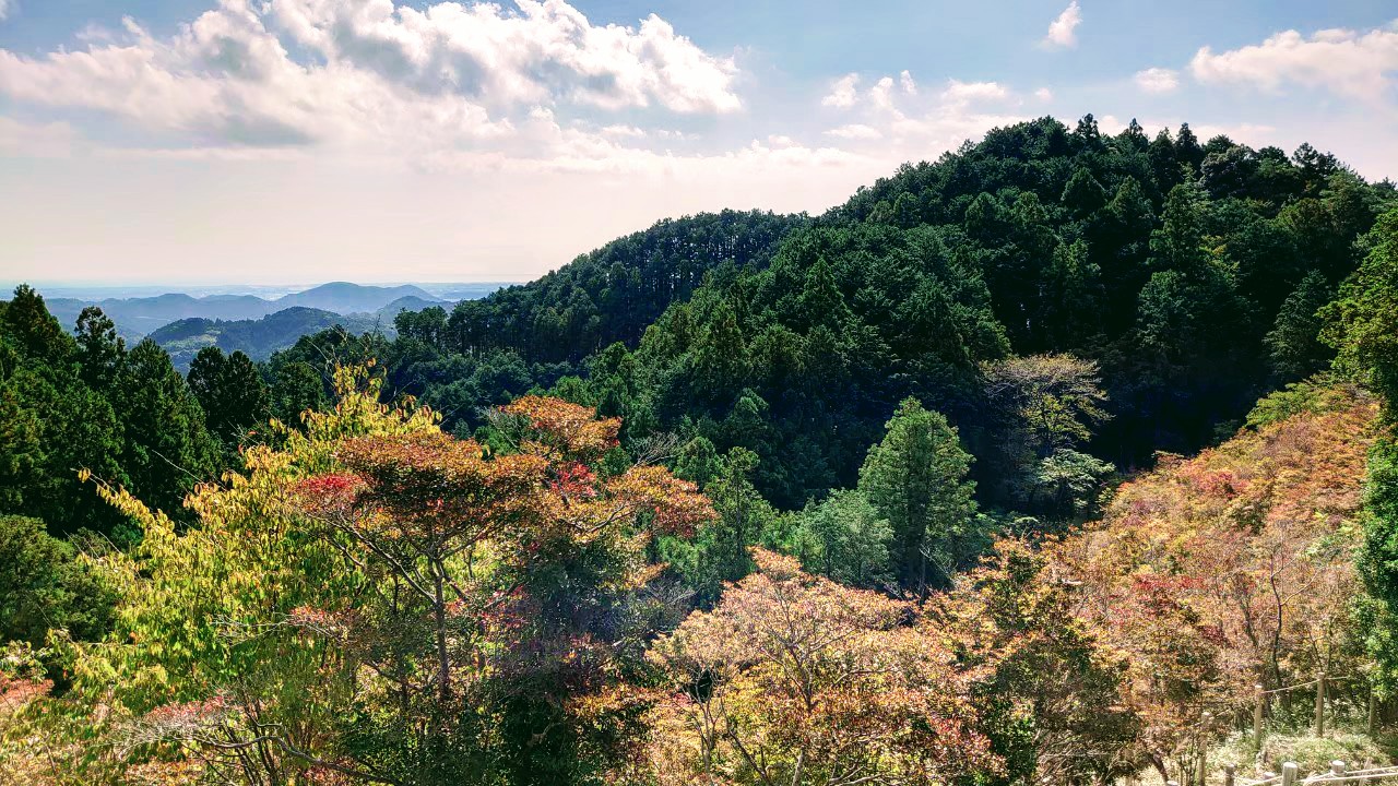 千葉山