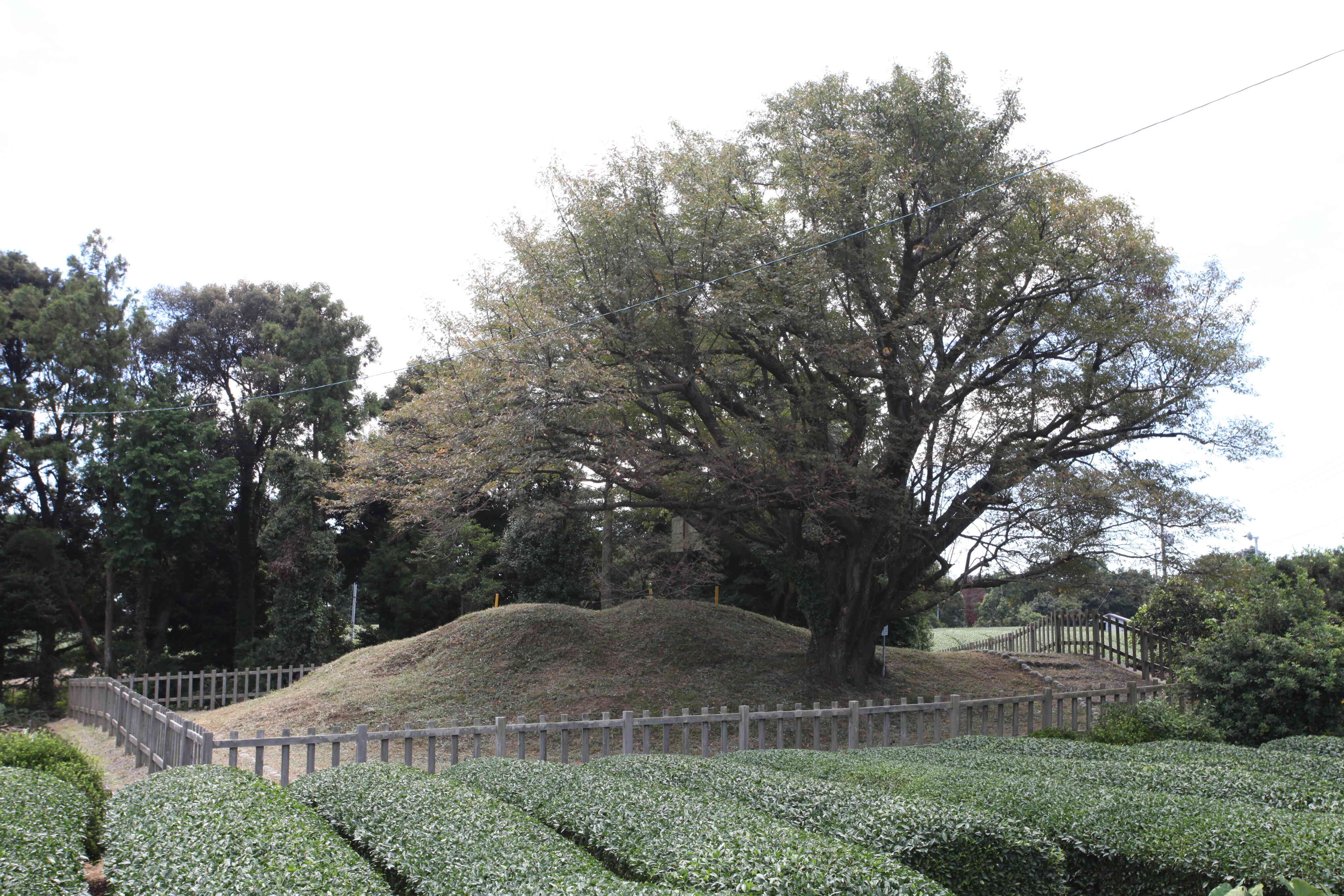 島田市博物館