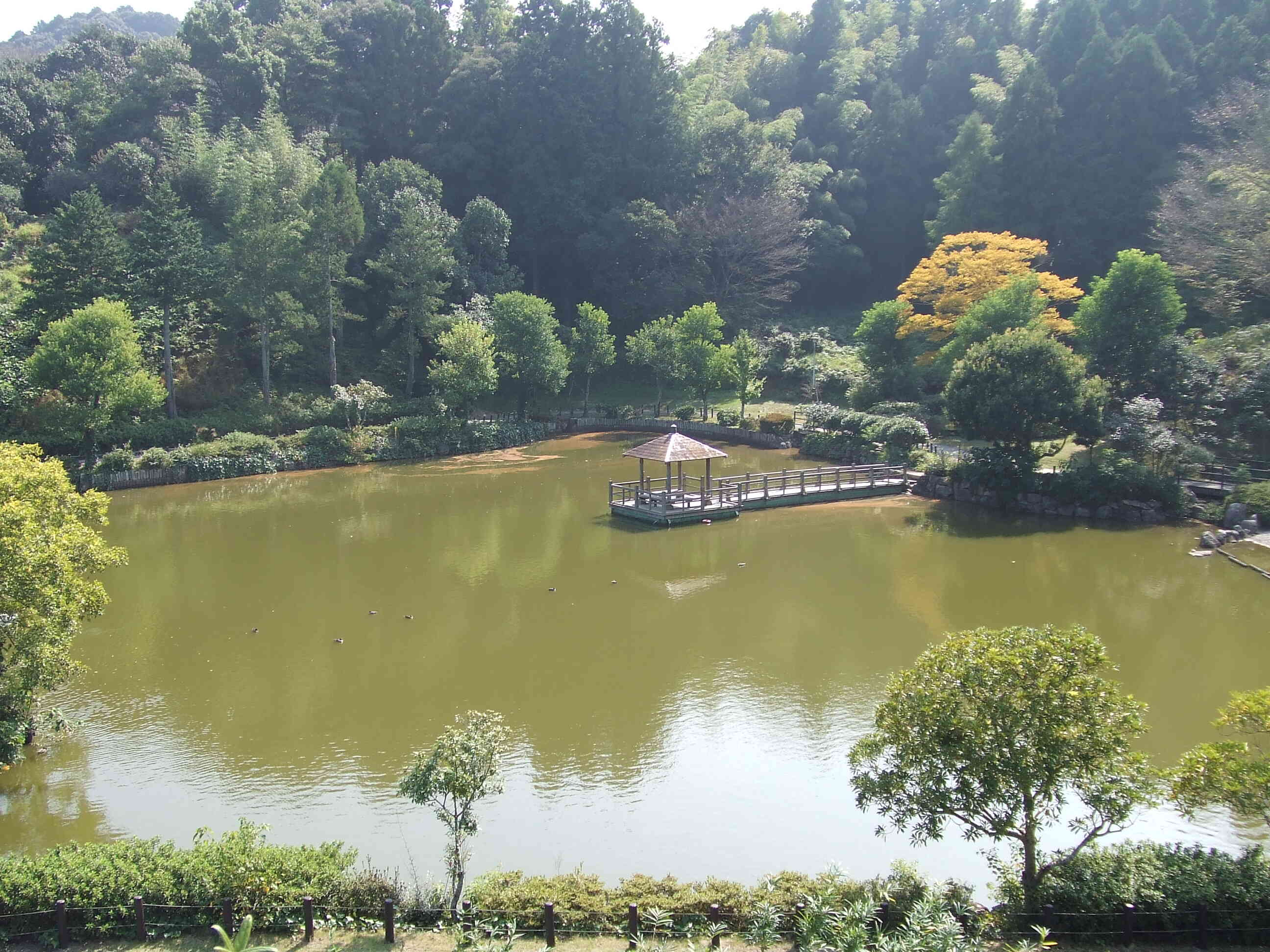 中央公園