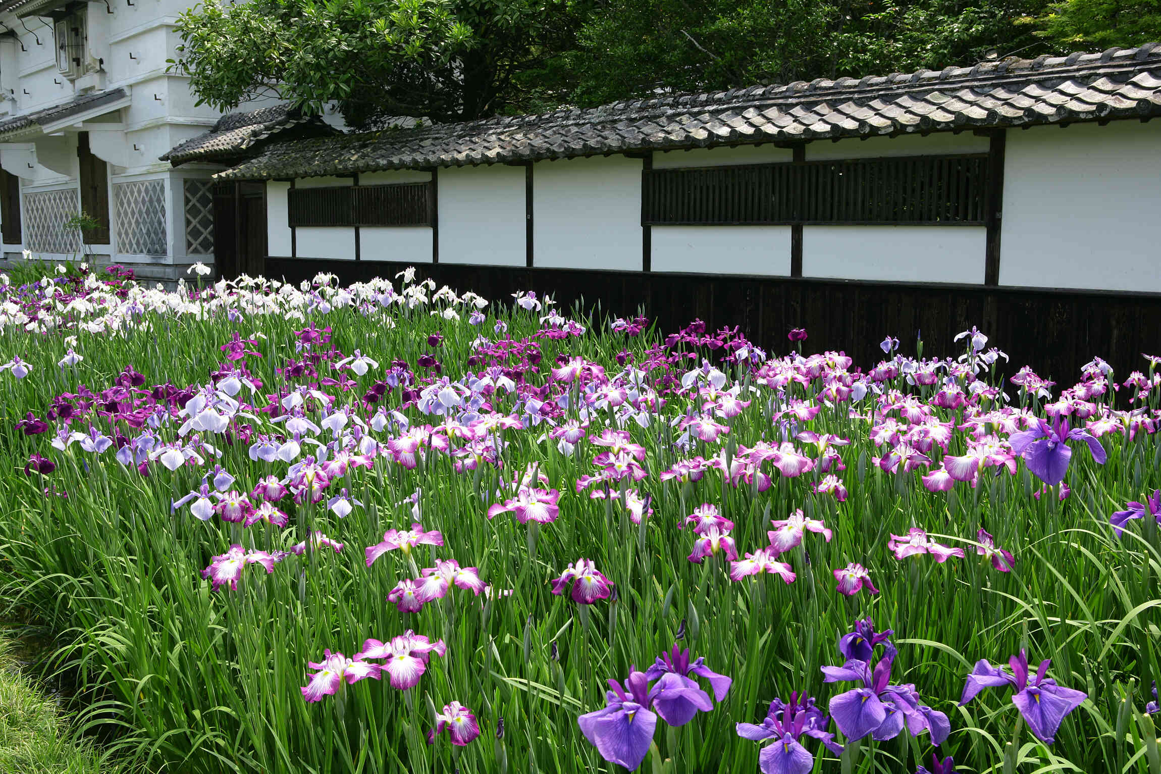 加茂荘花鳥園