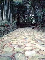 旧東海道石畳（金谷坂）2