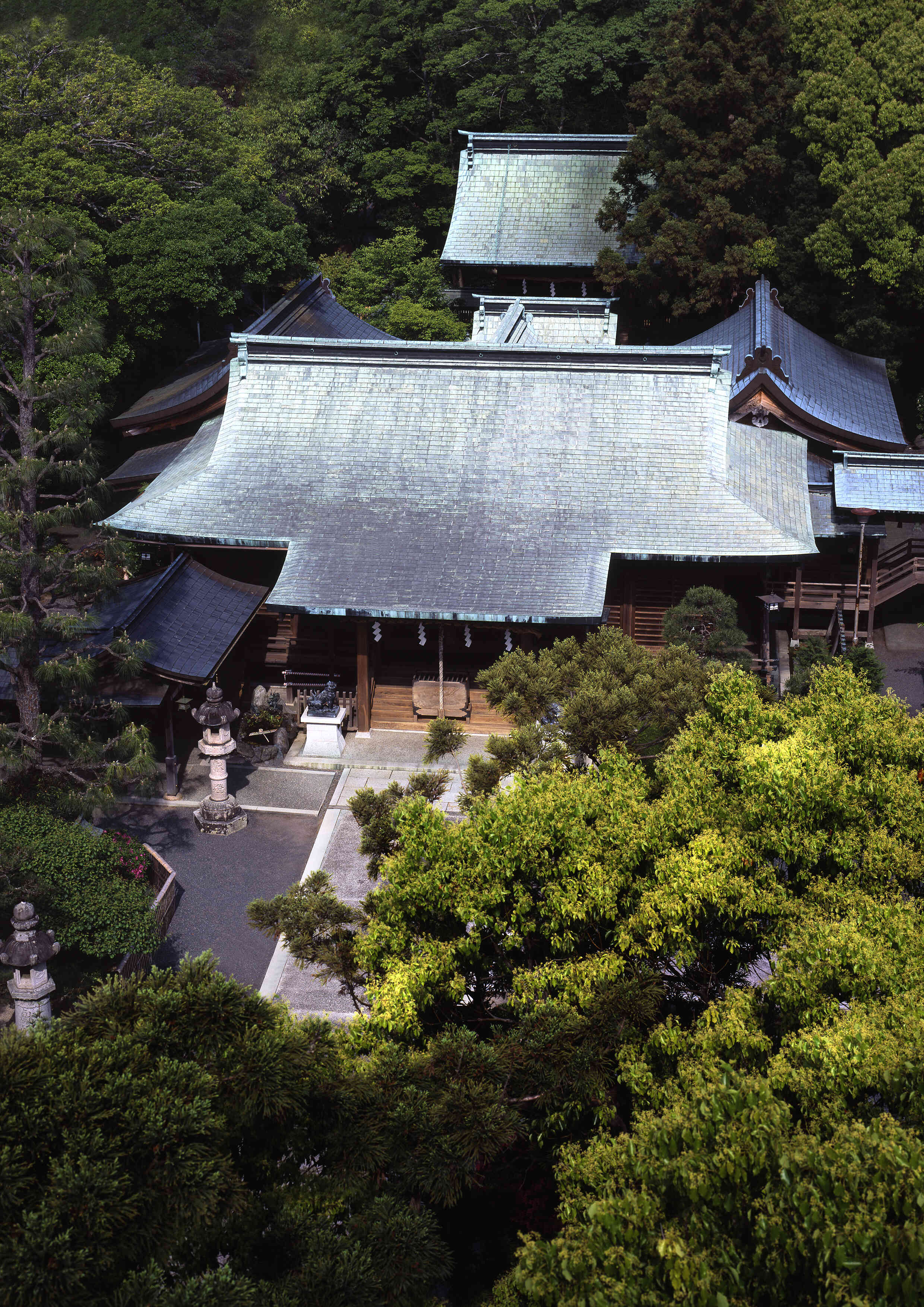 大井神社